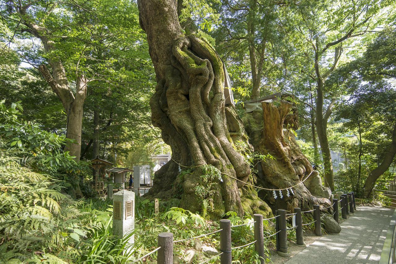 ทีเคพี โฮเต็ล แอนด์ รีสอร์ต เล็คโตเร่ อาตามิ โคอาราชิ Hotel ภายนอก รูปภาพ